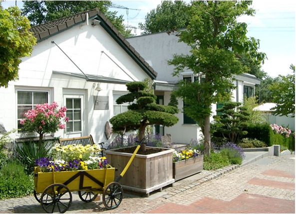Gepflegter Vorgarten mit Formschnittgehölzen, Blumen und einem bepflanzten Holzwagen